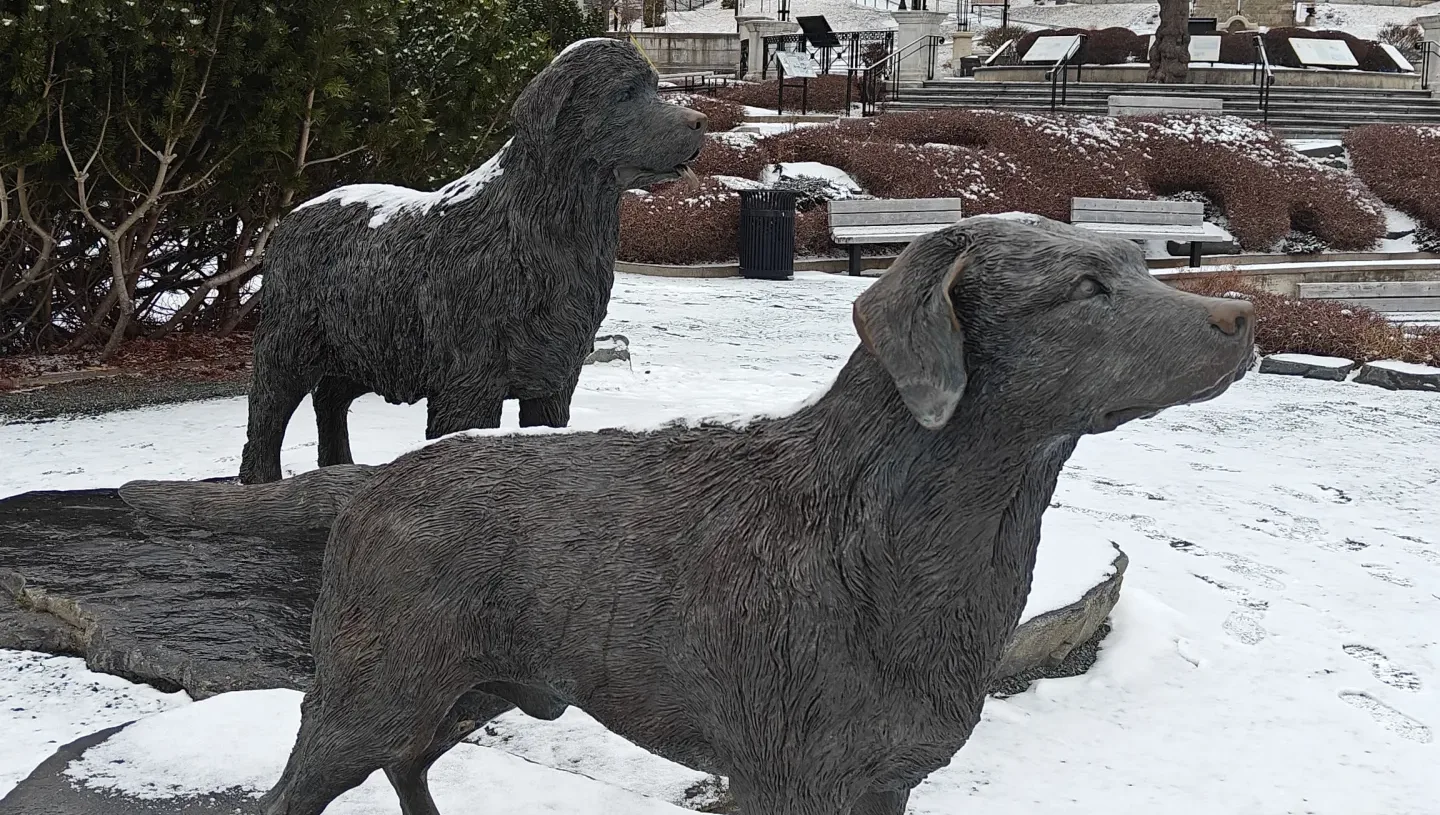 Newfoundland – Days 1-2